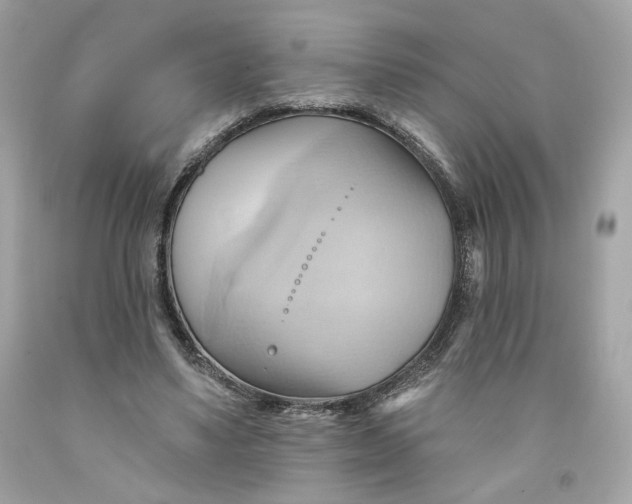 X0000091580491200709101022