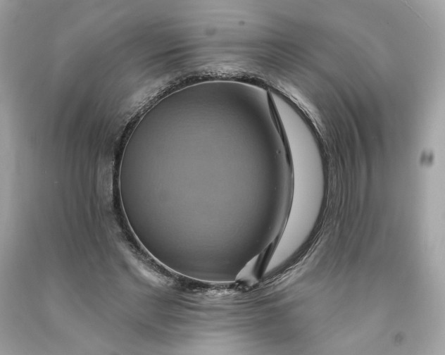 X0000091580493200709101022