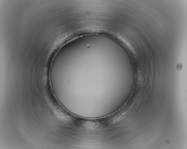 X0000091580494200709101022