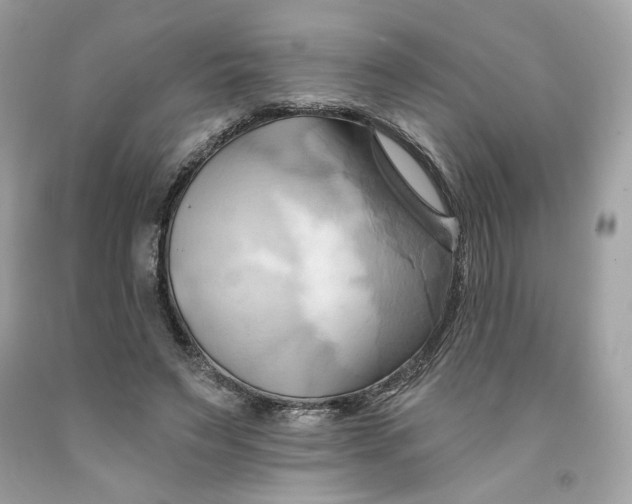 X0000091580495200709101022