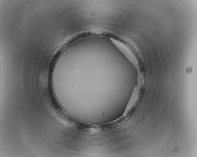 X0000091580496200709101022