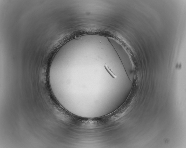 X0000091580497200709101022