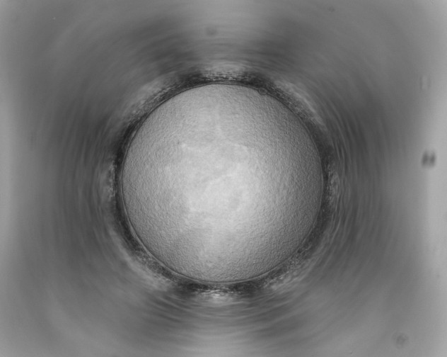 X0000091580498200709101022