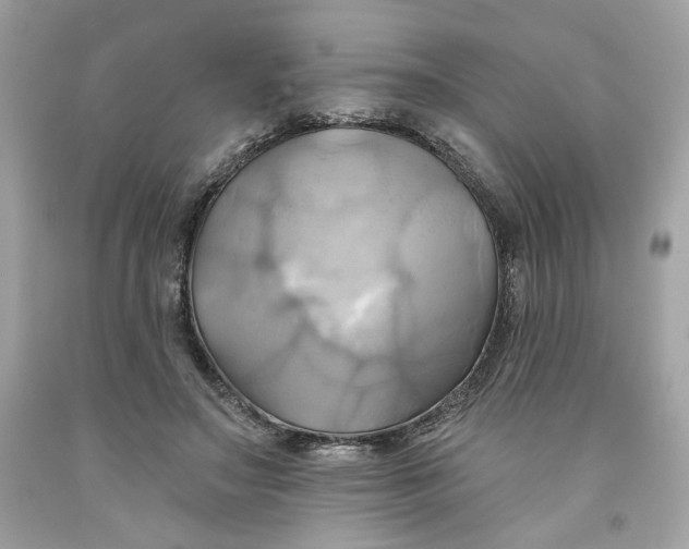 X0000091580499200709101022