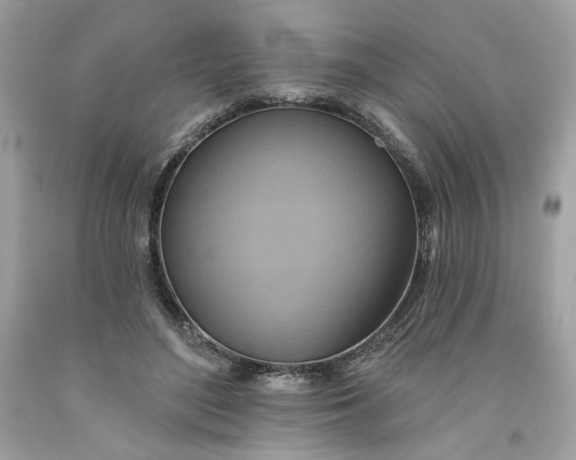 X0000091580500200709101022