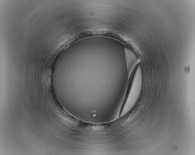 X0000091580501200709101022