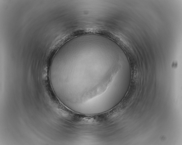 X0000091580502200709101022