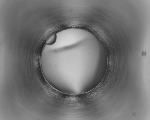 X0000091580503200709101022