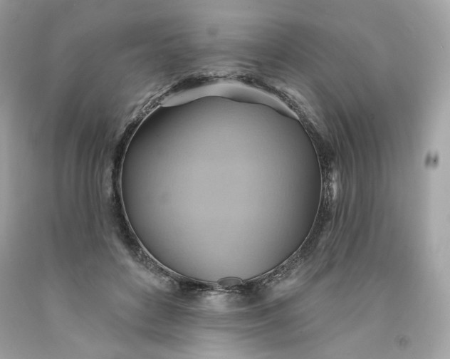 X0000091580504200709101022