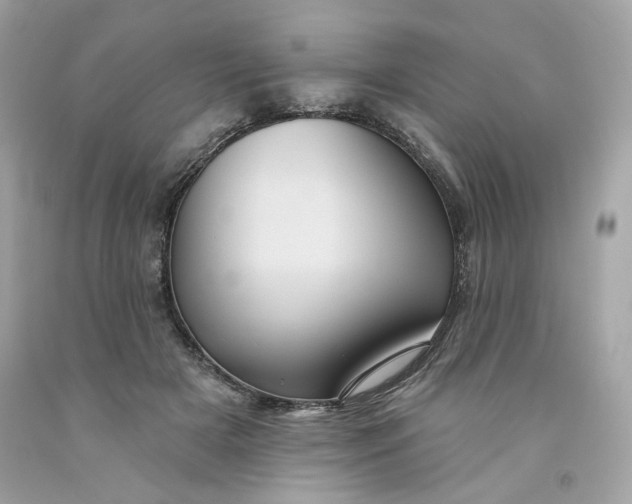 X0000091580505200709101022