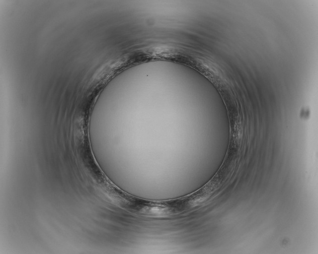 X0000091580506200709101022