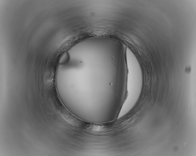 X0000091580507200709101021