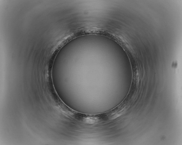 X0000091580508200709101021