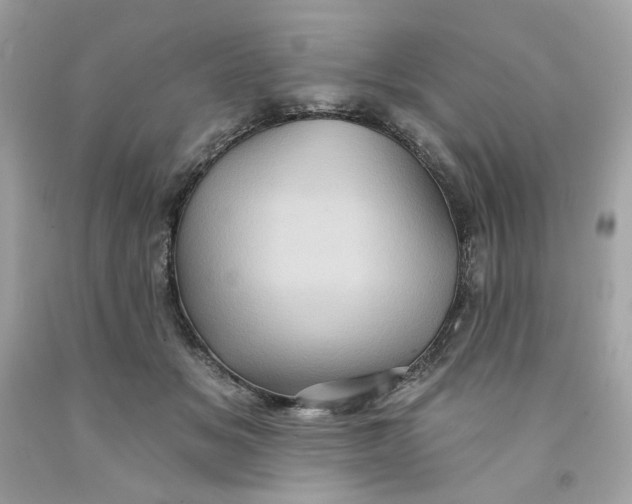 X0000091580509200709101021