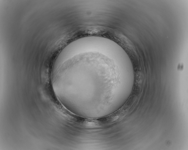 X0000091580510200709101021