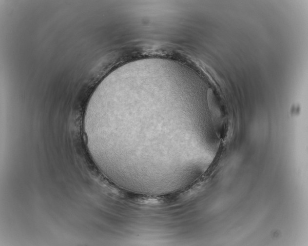 X0000091580513200709101021