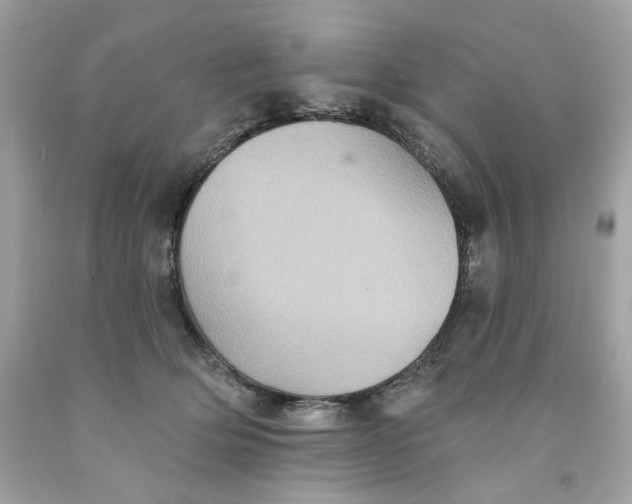 X0000091580514200709101021