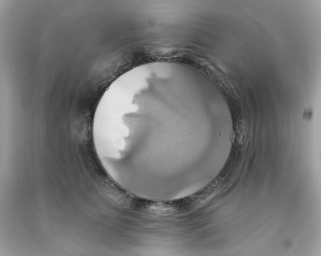 X0000091580515200709101021