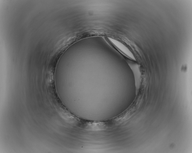 X0000091580517200709101021