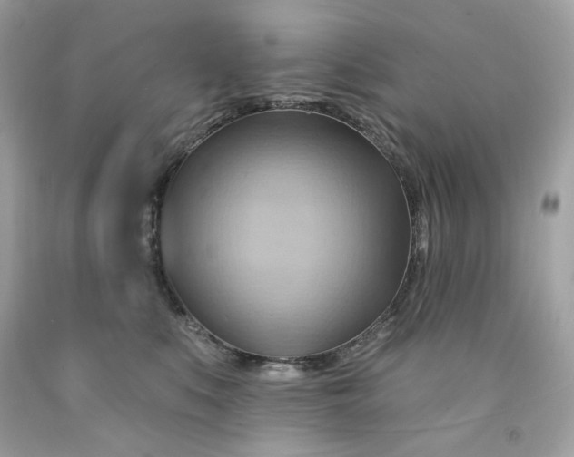 X0000091580519200709101021