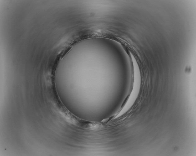 X0000091580520200709101021