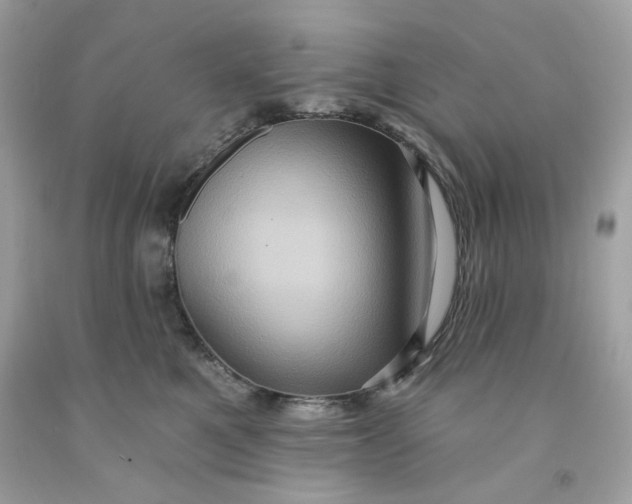 X0000091580521200709101021