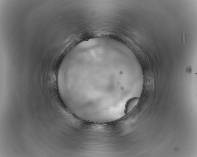 X0000091580523200709101021