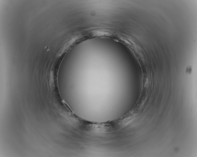 X0000091580524200709101021