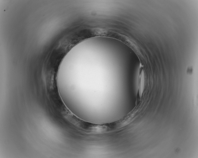 X0000091580525200709101021