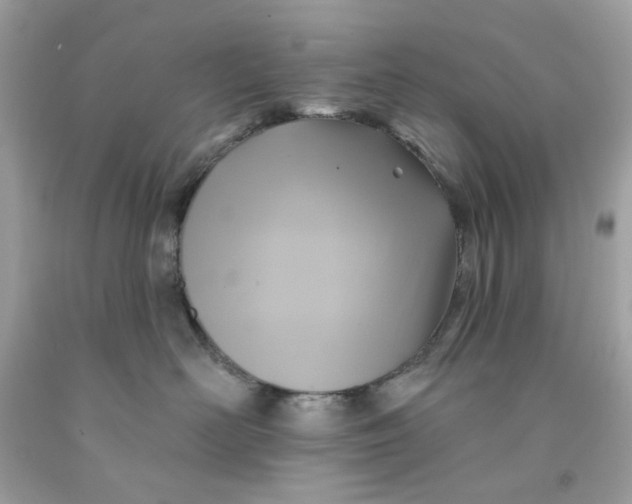 X0000091580526200709101021