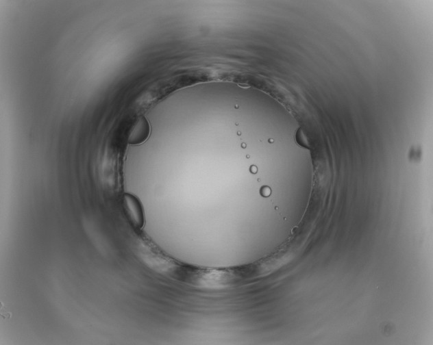 X0000091580527200709101021