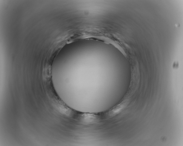 X0000091580528200709101021