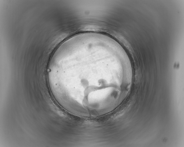 X0000091580529200709101021