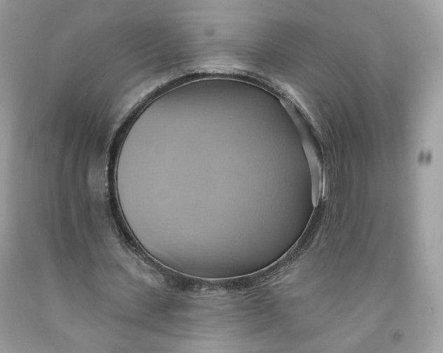 X0000091580531200709101021