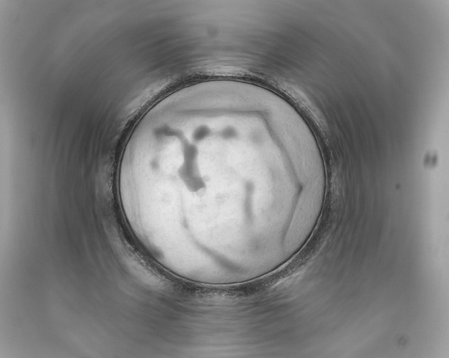 X0000091580533200709101021