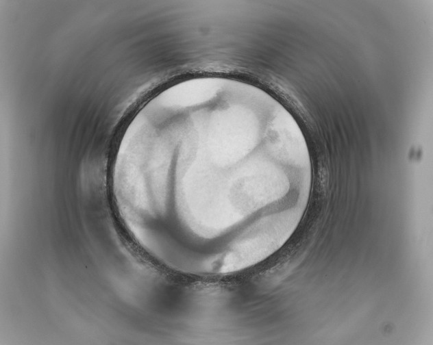 X0000091580534200709101021