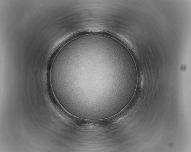 X0000091580535200709101021