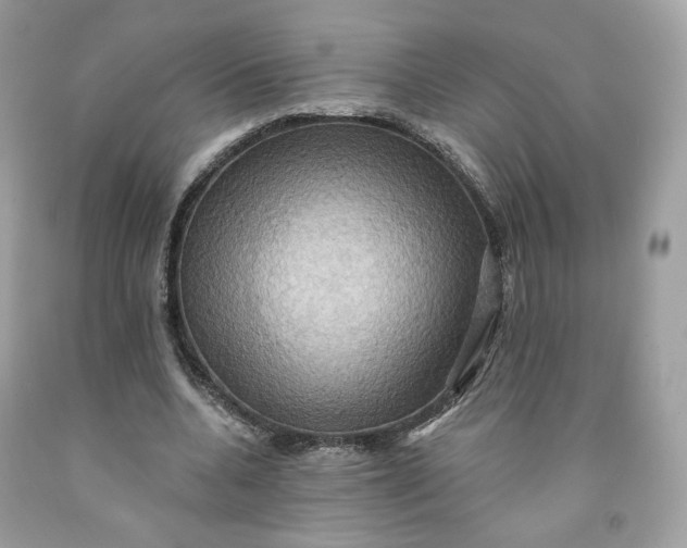 X0000091580536200709101021