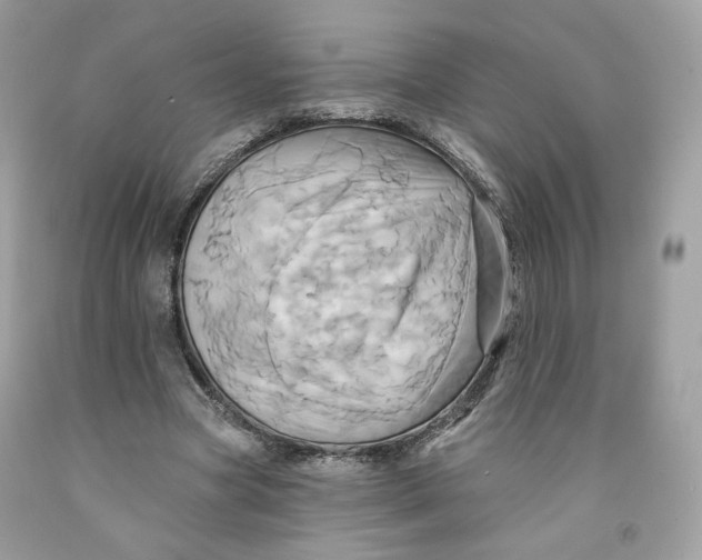 X0000091580537200709101021