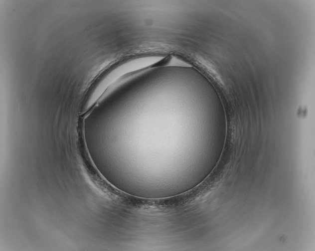 X0000091580538200709101021