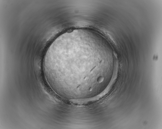 X0000091580539200709101021