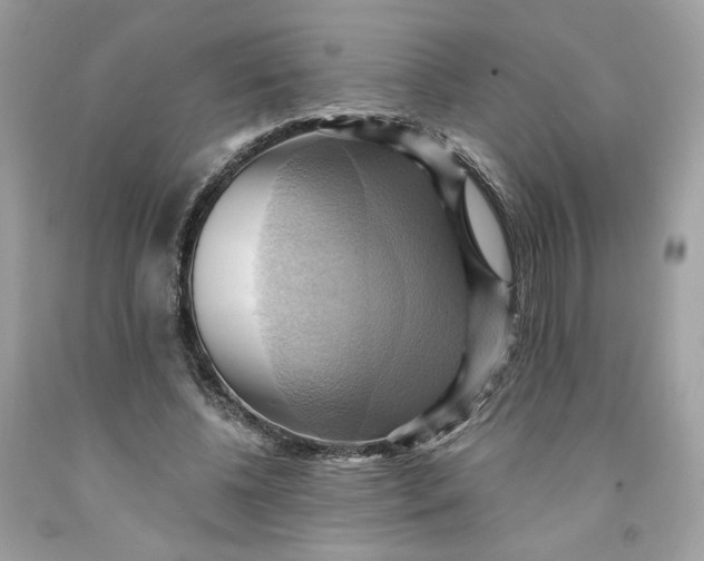 X0000091580540200709101021