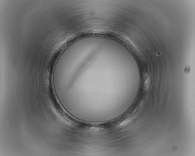 X0000091580542200709101021