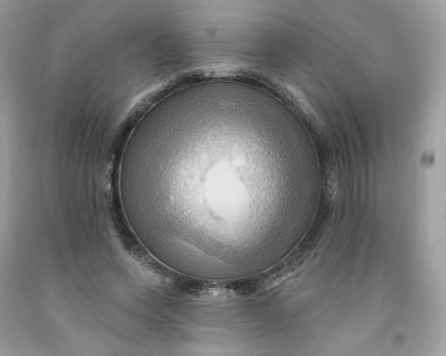 X0000091580543200709101021