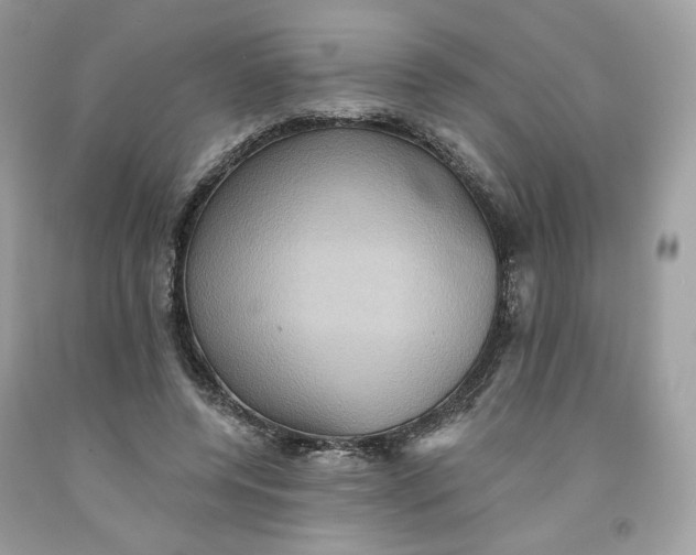 X0000091580544200709101021