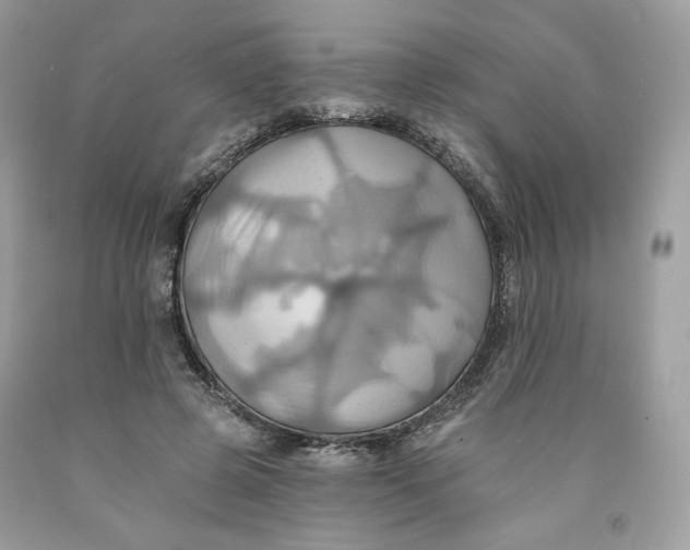 X0000091580545200709101021