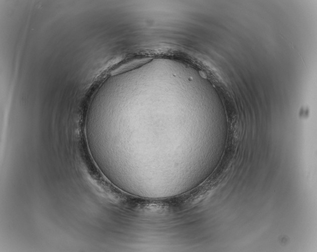 X0000091580546200709101021