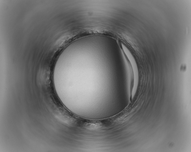 X0000091580548200709101021