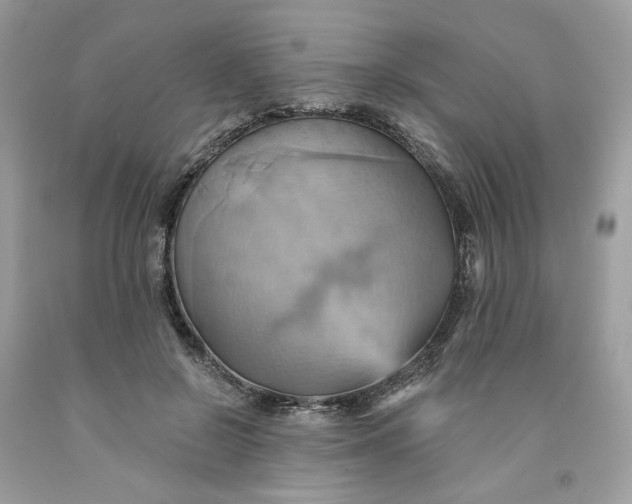 X0000091580550200709101021