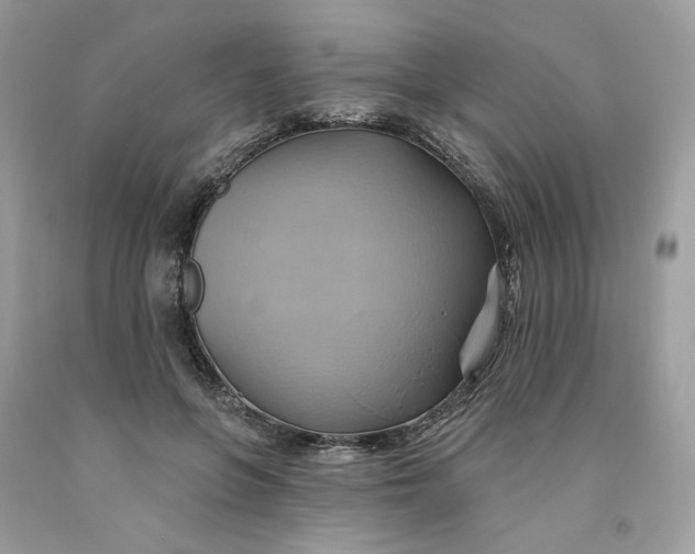 X0000091580551200709101021